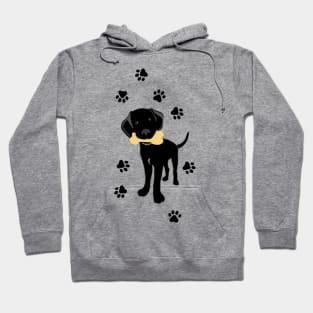 Cute Black Lab Puppy Hoodie